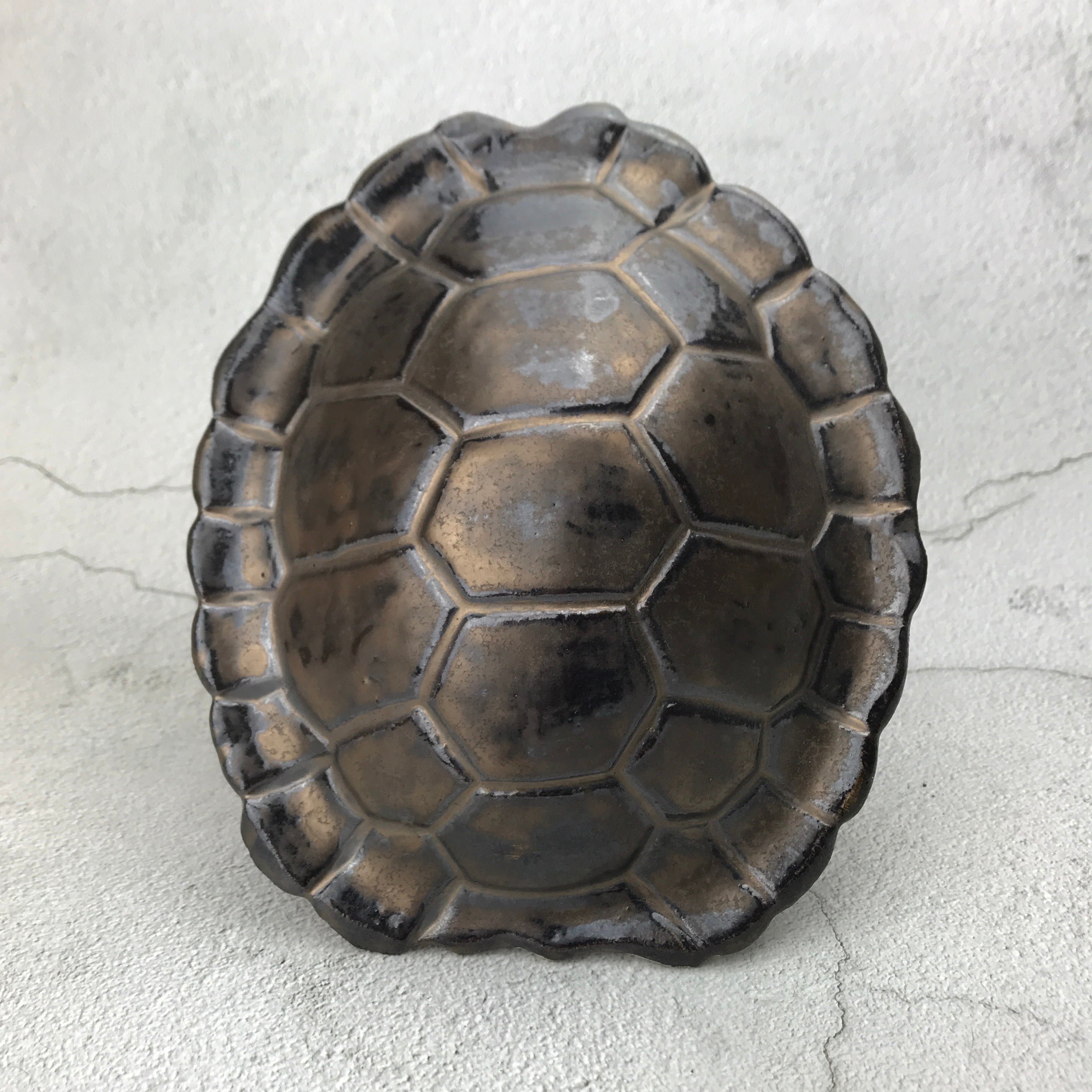 Turtle Shell Sculpture